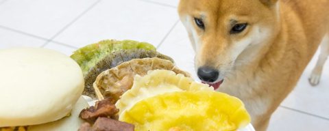 寵愛年菜