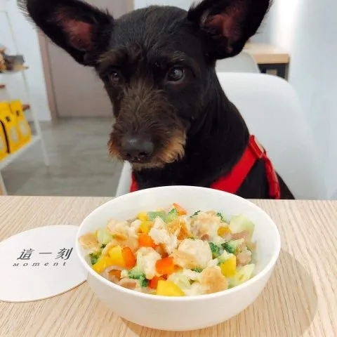 這一刻Moment 18 - Travel of Rice 小米遊記 10319_03.jpg