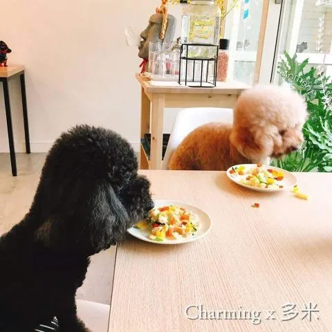 這一刻Moment 22 - Travel of Rice 小米遊記 10319_07.jpg