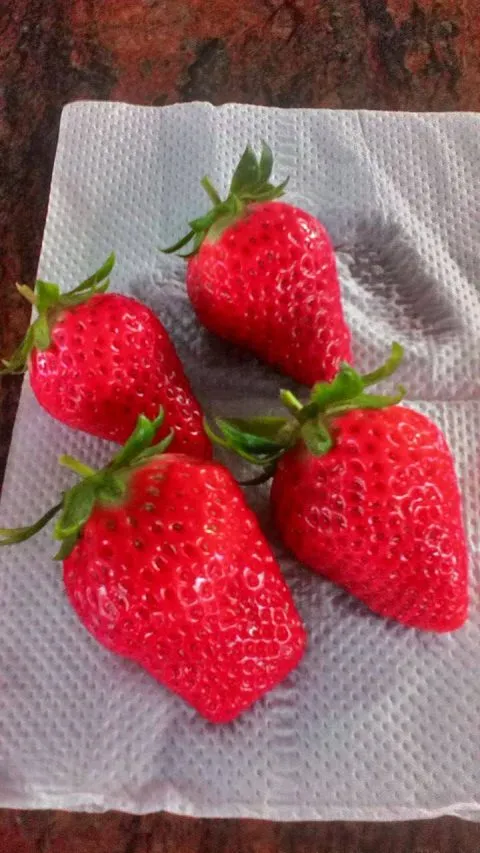 慶豐高架草莓 14 - Travel of Rice 小米遊記 12232781_914001342016140_7713672338392694058_o.jpg