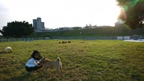 全國寵物運動公園 20 - Travel of Rice 小米遊記 e4b889e9878de5afb5e789a9e585ace59c92_e696b0e58c97_01-1