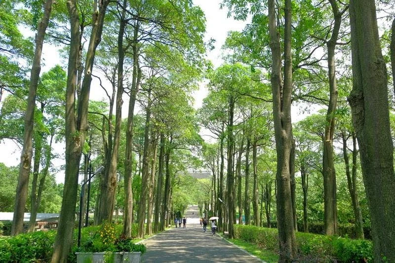 元智大學 3 - Travel of Rice 小米遊記