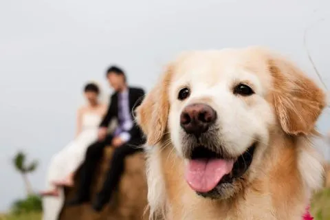 辰星咖啡 15 - Travel of Rice 小米遊記 10652_06.jpg