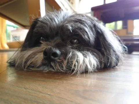 愛麗絲國際大飯店Aeris International Hotel 36 - Travel of Rice 小米遊記 10694_10.jpg