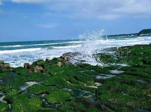 10843_04.jpg