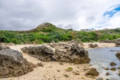 dsc00011-10