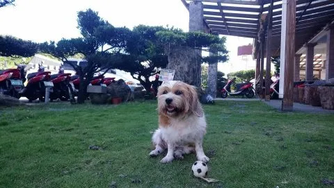 綠島星月屋渡假山莊 17 - Travel of Rice 小米遊記 10884_02.jpg