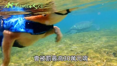 帶毛孩去小琉球：交通／住宿／景點 61 - Travel of Rice 小米遊記