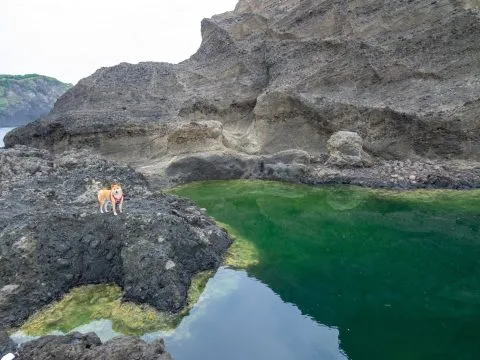 帶毛孩去綠島：交通／住宿／景點 85 - Travel of Rice 小米遊記