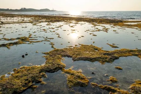 柴口浮潛區 12 - Travel of Rice 小米遊記 DSC00153.jpg