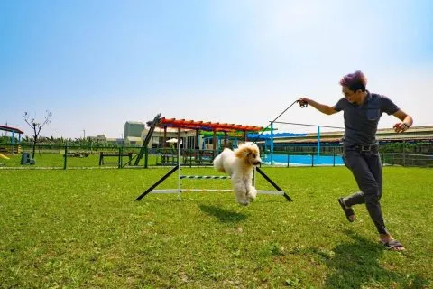 嬌滴滴寵物休閒農場 24 - Travel of Rice 小米遊記 11023_03-1