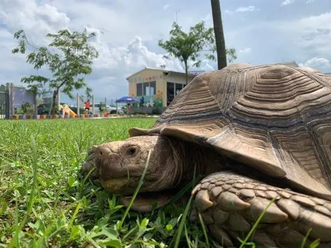 嬌滴滴寵物休閒農場 31 - Travel of Rice 小米遊記 11023_11-1