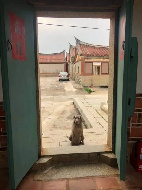 瓊林老閩宅古厝民宿 38 - Travel of Rice 小米遊記 11034_16-1