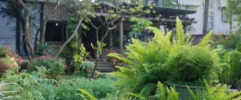 雅植歐洲香草園 10 - Travel of Rice 小米遊記