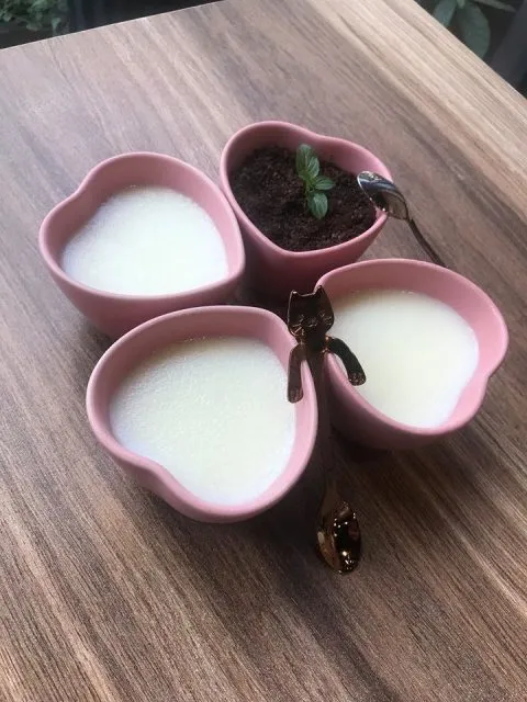 Kororo可樂樂寵物餐廳 21 - Travel of Rice 小米遊記 11042_04-1