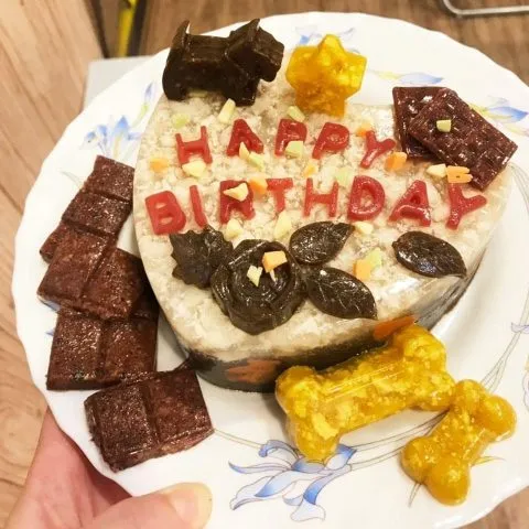 Kororo可樂樂寵物餐廳 24 - Travel of Rice 小米遊記 11042_07-1