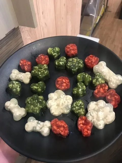 Kororo可樂樂寵物餐廳 25 - Travel of Rice 小米遊記 11042_08-1