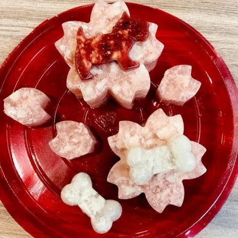 Kororo可樂樂寵物餐廳 26 - Travel of Rice 小米遊記 11042_10-1