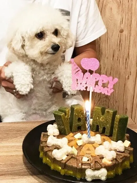 Kororo可樂樂寵物餐廳 27 - Travel of Rice 小米遊記 11042_11-1