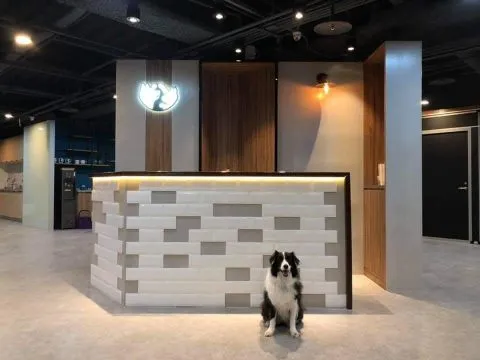 寵樂町文創館 23 - Travel of Rice 小米遊記 11062_02