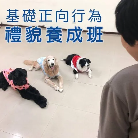 寵樂町文創館 25 - Travel of Rice 小米遊記 11062_04