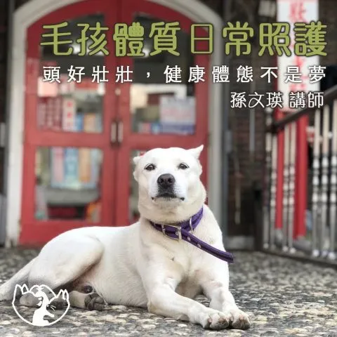 寵樂町文創館 26 - Travel of Rice 小米遊記 11062_05