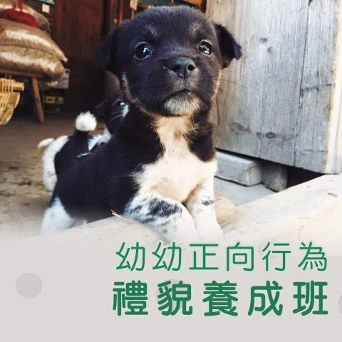 寵樂町文創館 27 - Travel of Rice 小米遊記 11062_06