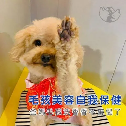 寵樂町文創館 28 - Travel of Rice 小米遊記 11062_07