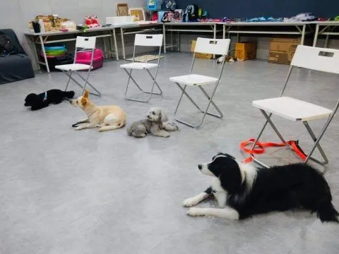 寵樂町文創館 32 - Travel of Rice 小米遊記 11062_11