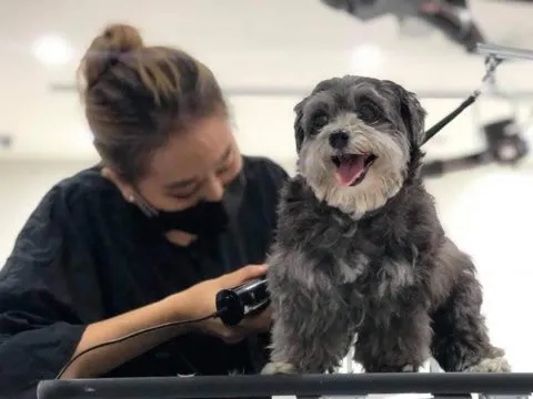 寵樂町文創館 34 - Travel of Rice 小米遊記 11062_13