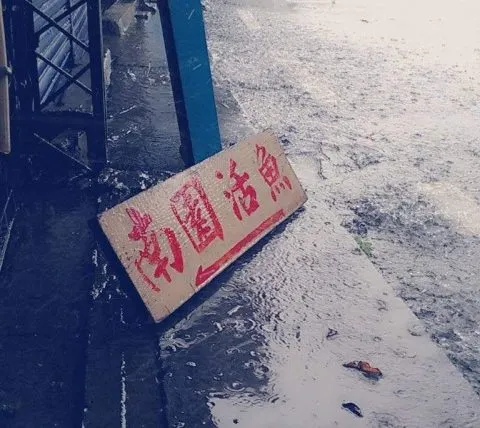 11400_09.jpg
