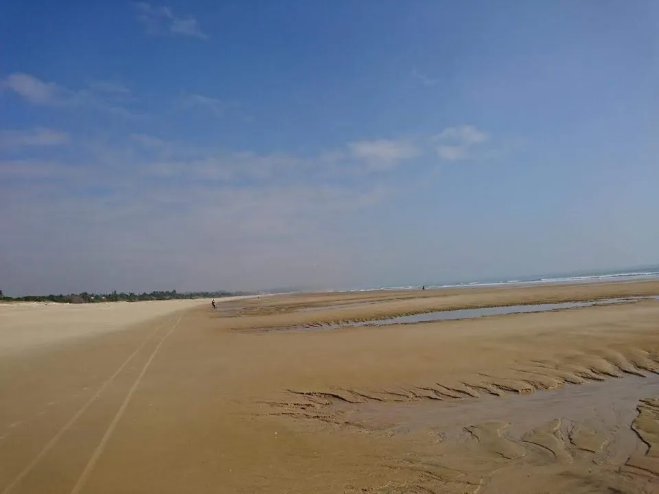 11534_14.jpg