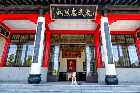 帶毛孩去金門：交通／住宿／景點 115 - Travel of Rice 小米遊記