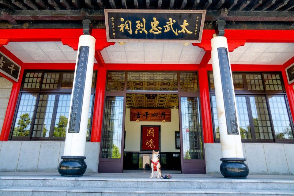 帶毛孩去金門：交通／住宿／景點 115 - Travel of Rice 小米遊記