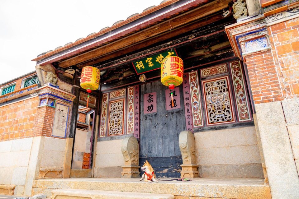 帶毛孩去金門：交通／住宿／景點 71 - Travel of Rice 小米遊記