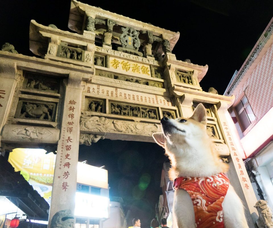 帶毛孩去金門：交通／住宿／景點 121 - Travel of Rice 小米遊記