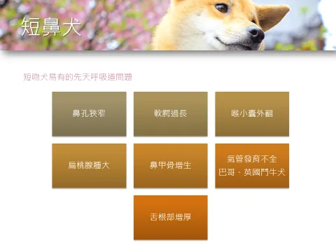 台鐵「寵物友善車廂」提案與協作會議報告 40 - Travel of Rice 小米遊記