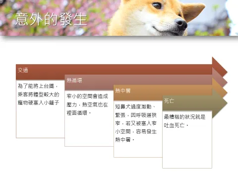 台鐵「寵物友善車廂」提案與協作會議報告 41 - Travel of Rice 小米遊記