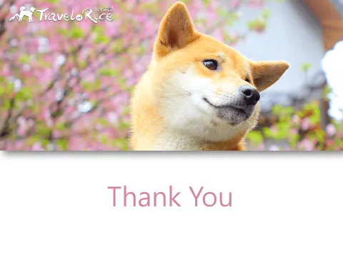 台鐵「寵物友善車廂」提案與協作會議報告 42 - Travel of Rice 小米遊記