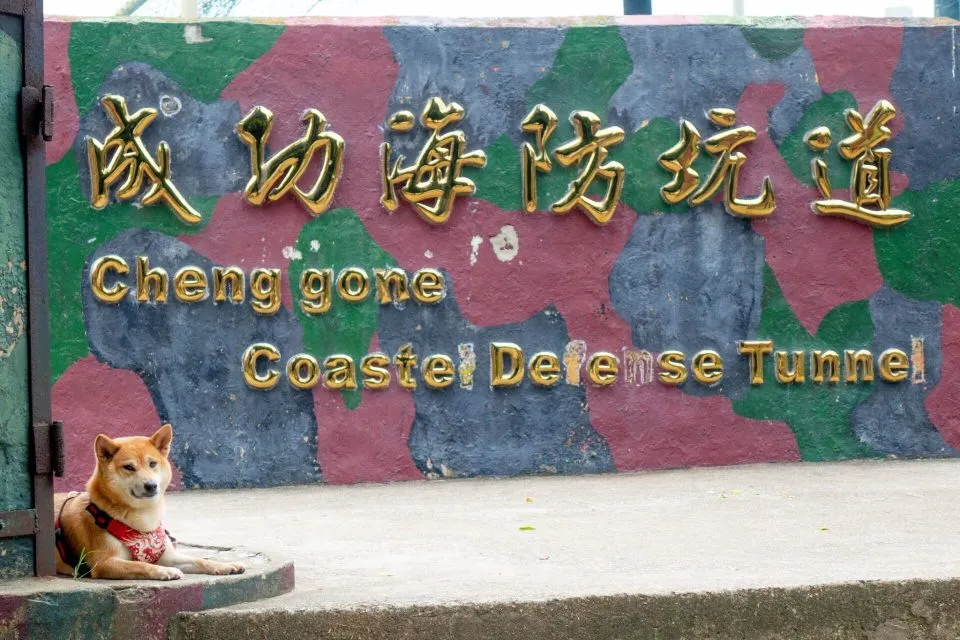DSC00003.jpg