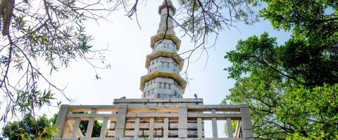 太武山 13 - Travel of Rice 小米遊記