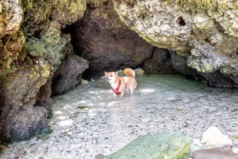 野銀冷泉 11 - Travel of Rice 小米遊記 DSC00097.jpg