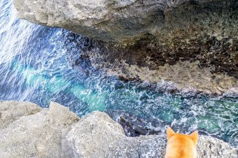 龍蝦洞 14 - Travel of Rice 小米遊記 dsc00109-7