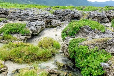 野銀冷泉 10 - Travel of Rice 小米遊記 DSC00112.jpg