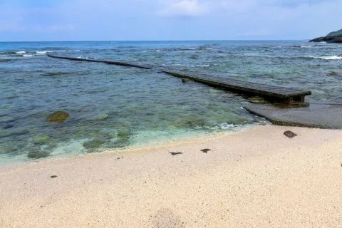 大白沙 14 - Travel of Rice 小米遊記 DSC00116.jpg