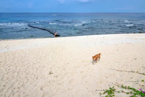 大白沙 13 - Travel of Rice 小米遊記 DSC00138.jpg