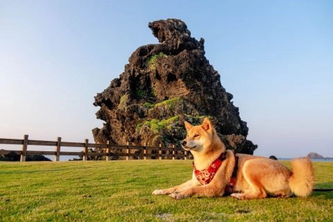 綠島人權公園 19 - Travel of Rice 小米遊記