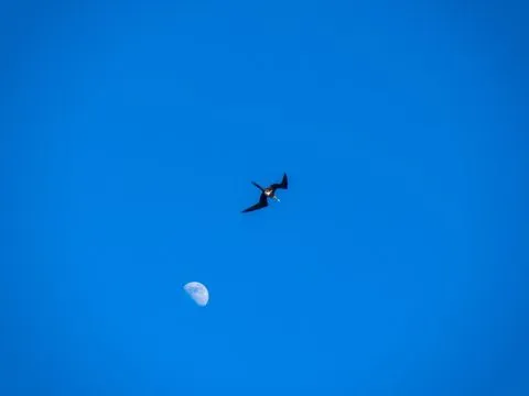 DSC05186.jpg