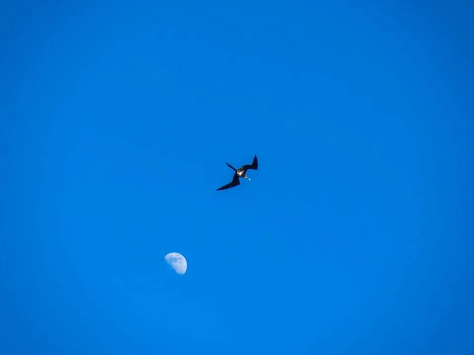 DSC05186.jpg