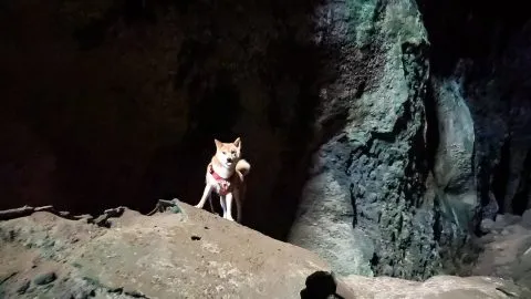 MAH00179.MP4_snapshot_00.18.001.jpg